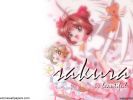 ccs 48 1024   454  (ccs 48 1024   ( Anime Wallpapers Card Captor Sakura  ) 454 )